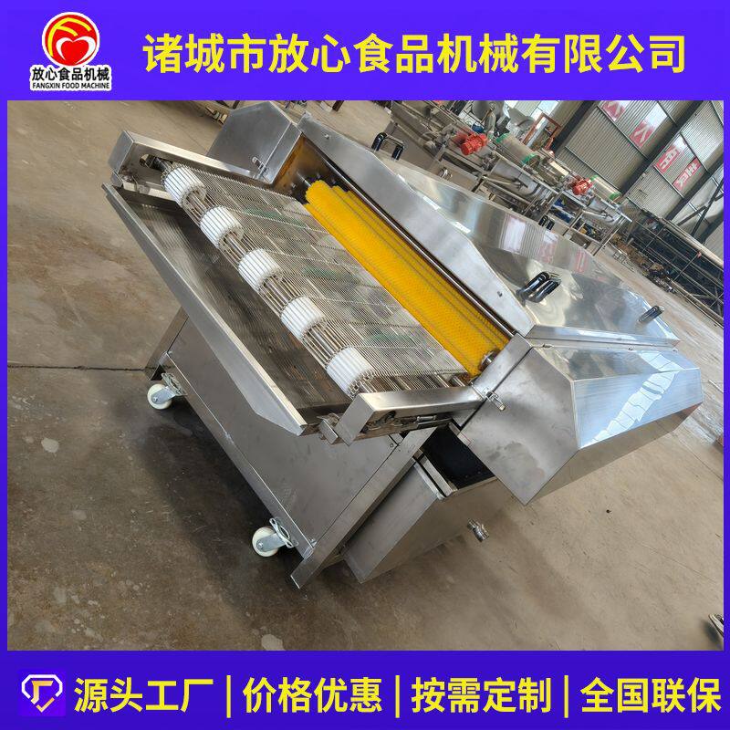 粽叶清洗机糯米粽子加工设备荷叶粽叶芦苇叶小型平行毛辊清洗机