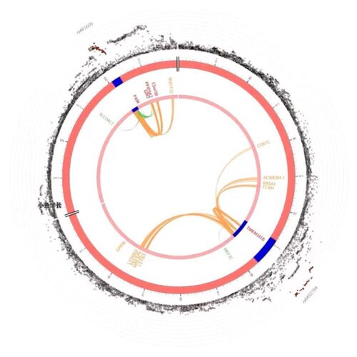 geo数据库geo数据挖掘差异分析富集分析