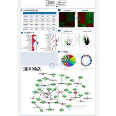 lncRNA miRNA mRNA调控网络构建SCI高级网络图绘制服务