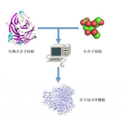 分子动力学模拟/分子对接/GROMACS/代做/蛋白质体系/回头客过千