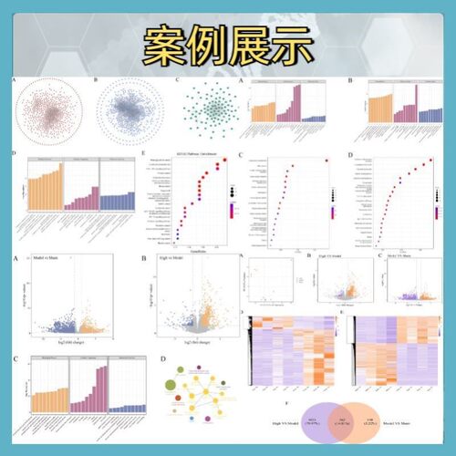 生物信息学脚本定制 Perl/Python/R 数据分析流程 个性化解决