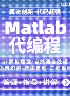 matlab程序代编程代码帮做彷真图像处理深度学习神经网络信号处理