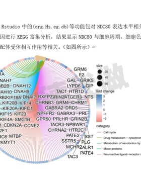 cytoscape作图GO KEGG富集PPI网络生信分析