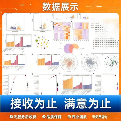 DFT计算/材料第一性原理/MS/VASP/高斯/LAMMPS/QE/模拟计算 代算