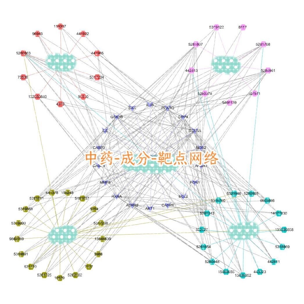 网络药理学,代做中药成分靶点网络分子对接