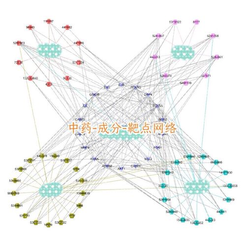 网络药理学，代做中药成分靶点网络分子对接