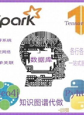 知识图谱代做neo4j程序R/Python语言/spark/TensorFlow推荐系统