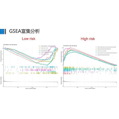 TCGA数据库免疫基因预后(免疫治疗/生存分析/WGCNA共表达网络)