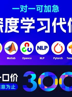 python代程式设计深度学习机器图像视觉接单代跑lstm代码调试编写