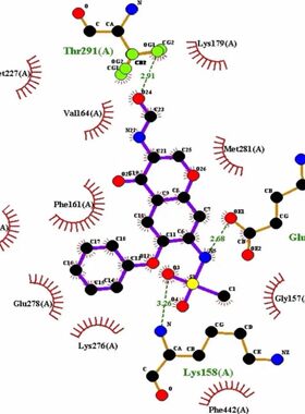 分子对接互作分析富集分析动力学模拟电解液药物蛋白质预实验设计