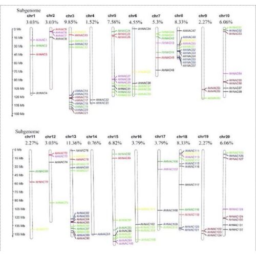 基因家族全套系统进化树绘制Circos设计图绘图生物信息数据分析