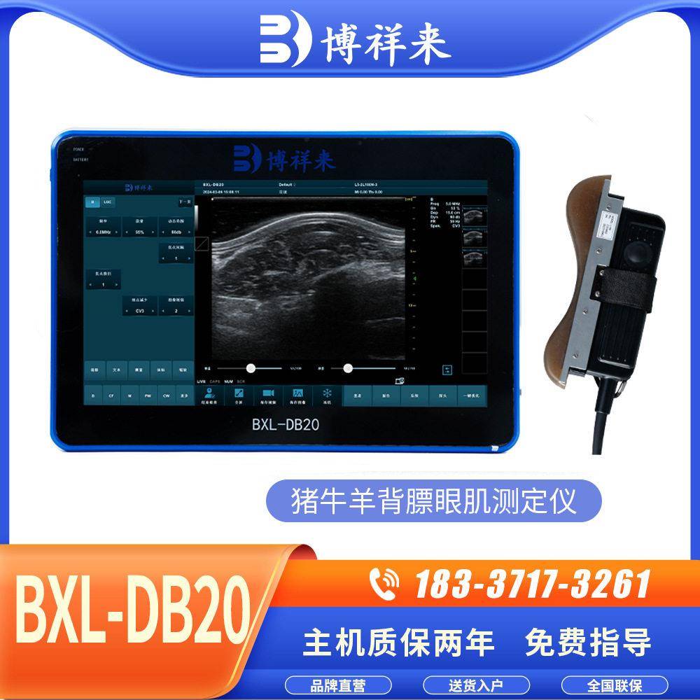 安格斯牛背膘眼肌测定仪清肌内脂肪检测B超机自动测量
