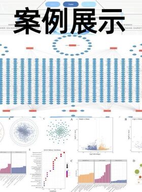 单细胞数据高级分析 细胞通讯 转录因子调控 代谢活性推断