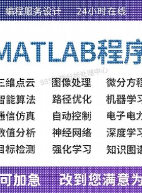 Matlab程序代编微分方程python代编算法优化控制电气彷真图像处理