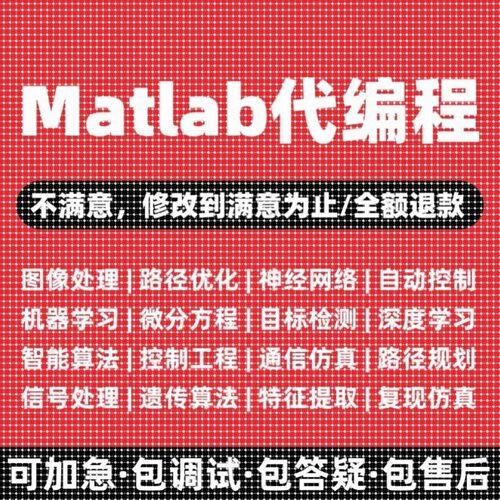 matlab代码帮做程序代编代码覆现修改图像处理问题解决建模绘画图