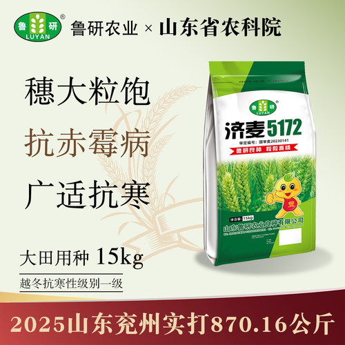 抗赤霉病！农科院大品种济麦5172
