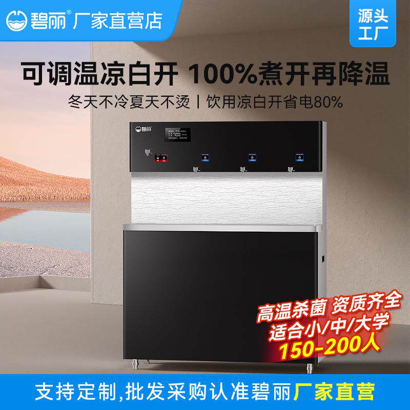 碧丽校园节能饮水机校园单位办公车站反渗透温开水直饮水机4Q5E