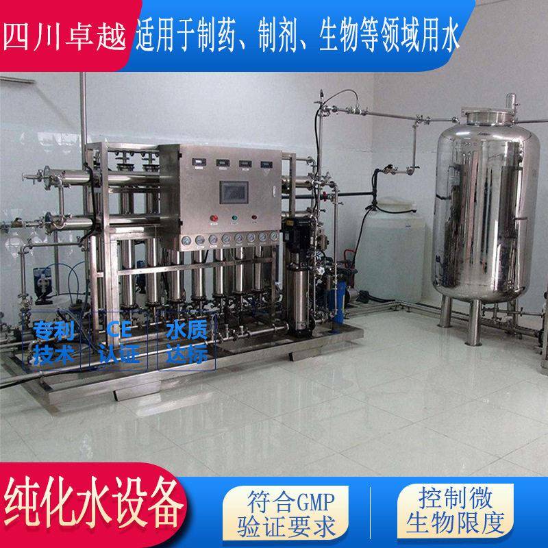 典医纯水设备制典纯水设备GMP典纯化水设备2000L