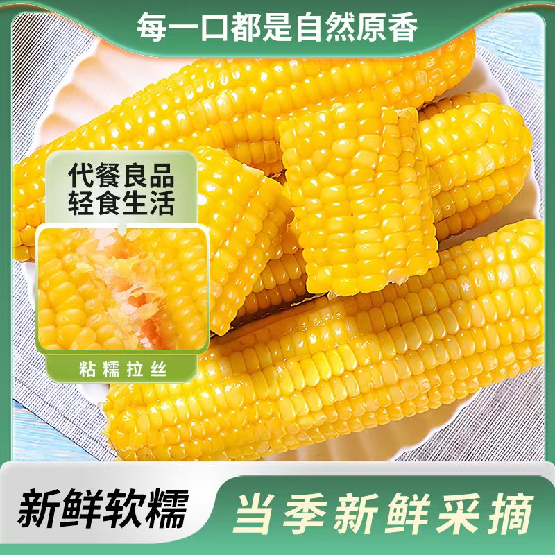 东北原味黄糯玉米真空包装健康粗粮软糯香甜 - 实物图