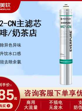 爱惠浦 MC2商用净水器活性炭滤芯净水机耗材主滤芯EV9612-56通用