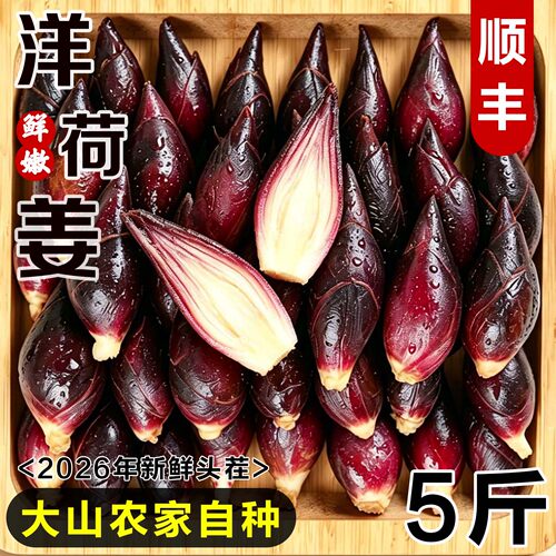 洋荷姜新鲜当季新鲜阳荷顺丰包邮