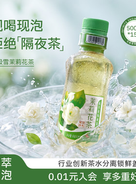 黄山无极雪茉莉花茶冷萃现泡