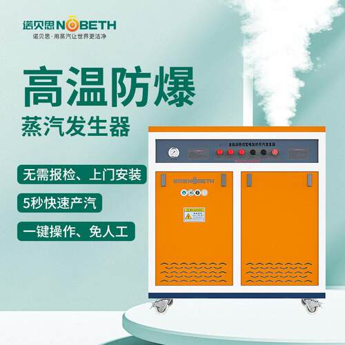 BT4防爆18KW全自动蒸汽发生器可定智能温过热器