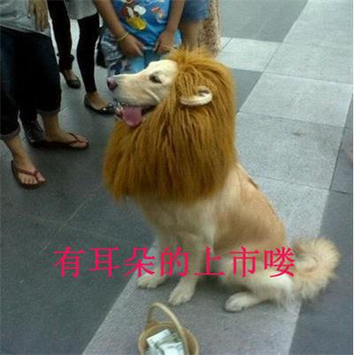狗狗围脖 宠物假发 搞笑狮子头套  宠物狮子头套假发 宠物头套