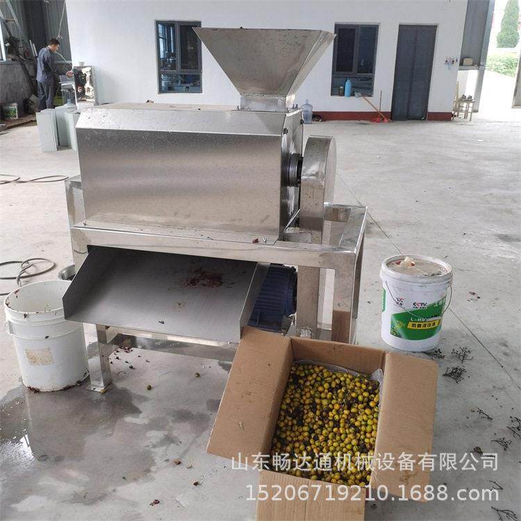 商用不锈钢水果打浆机葡萄番石榴西红柿粉碎打浆机果酱加工设备