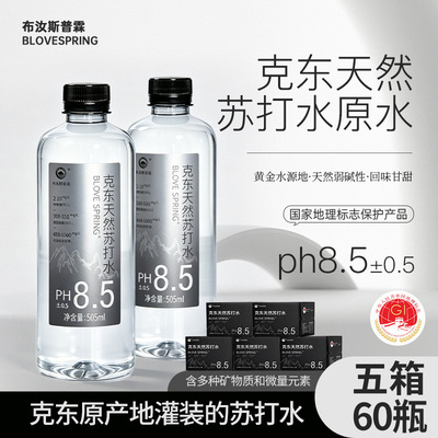 克东天然苏打水0糖0脂0卡5箱装