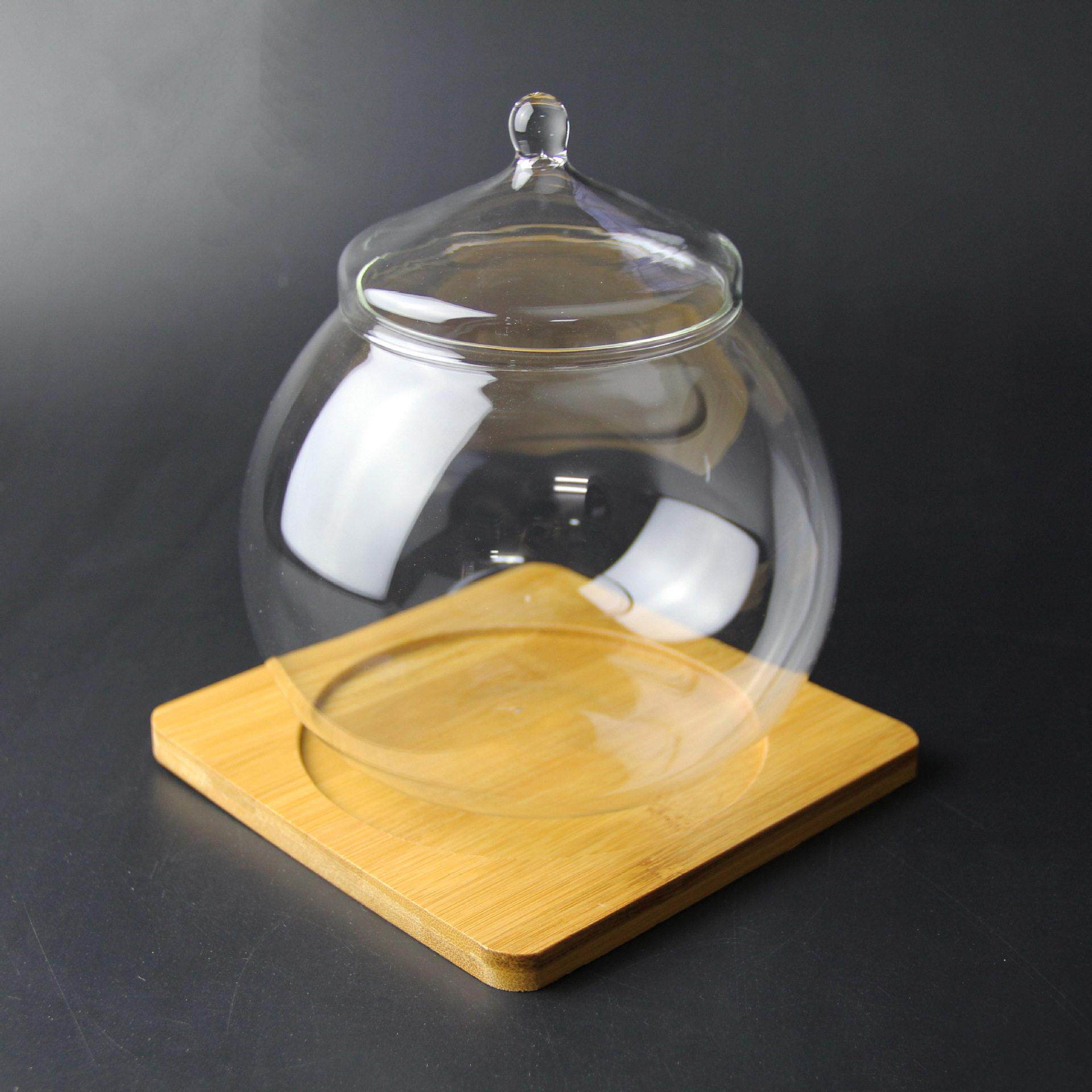 微景观生态 制作容器 苔藓DIY玻璃 玻璃盖 大号20cm 中号15