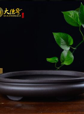紫砂假山盆景盆水底盆腰圆形绿植水培菖蒲 水仙 铜钱草 文竹花盆