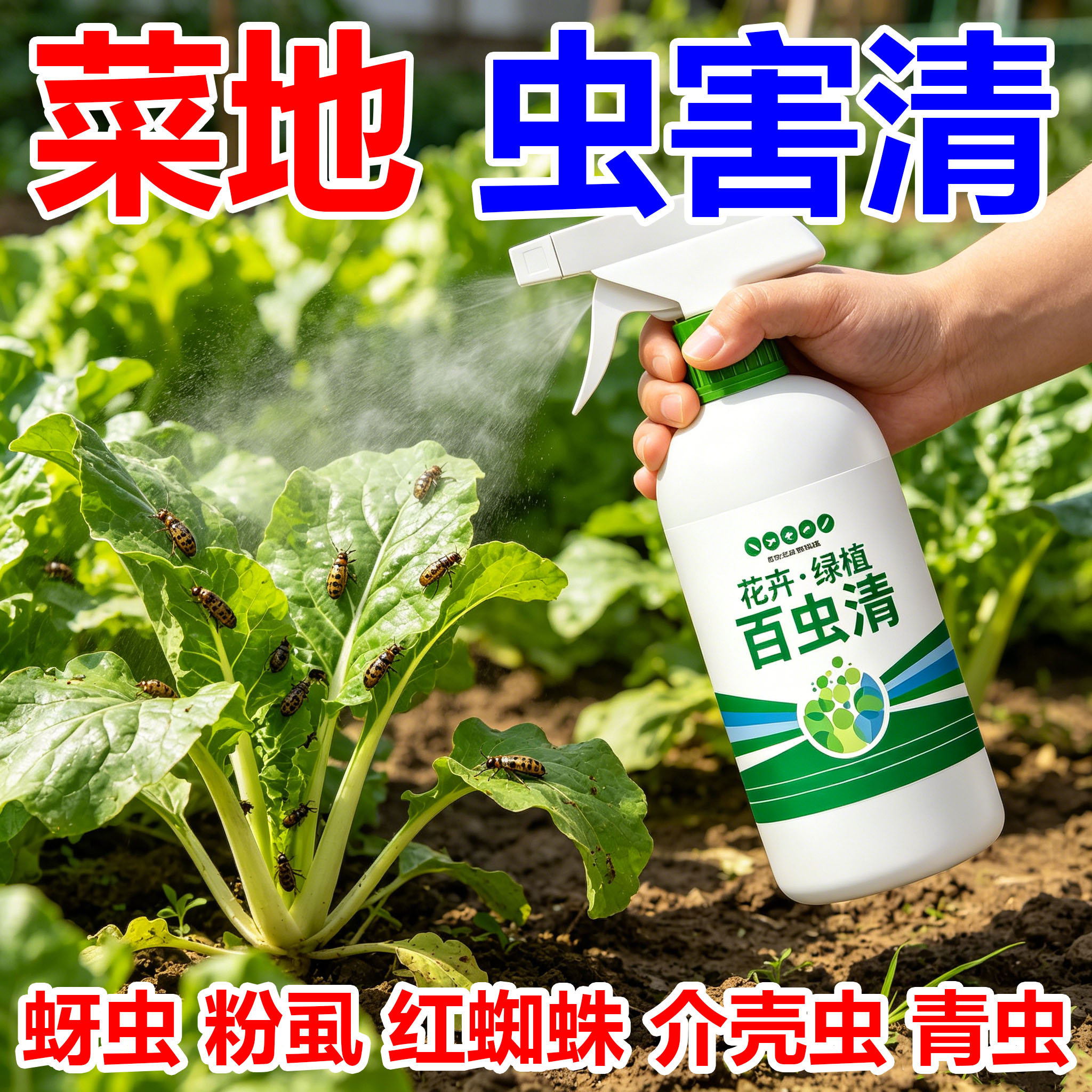 除虫剂多肉月季花蚜虫蚧壳虫红蜘
