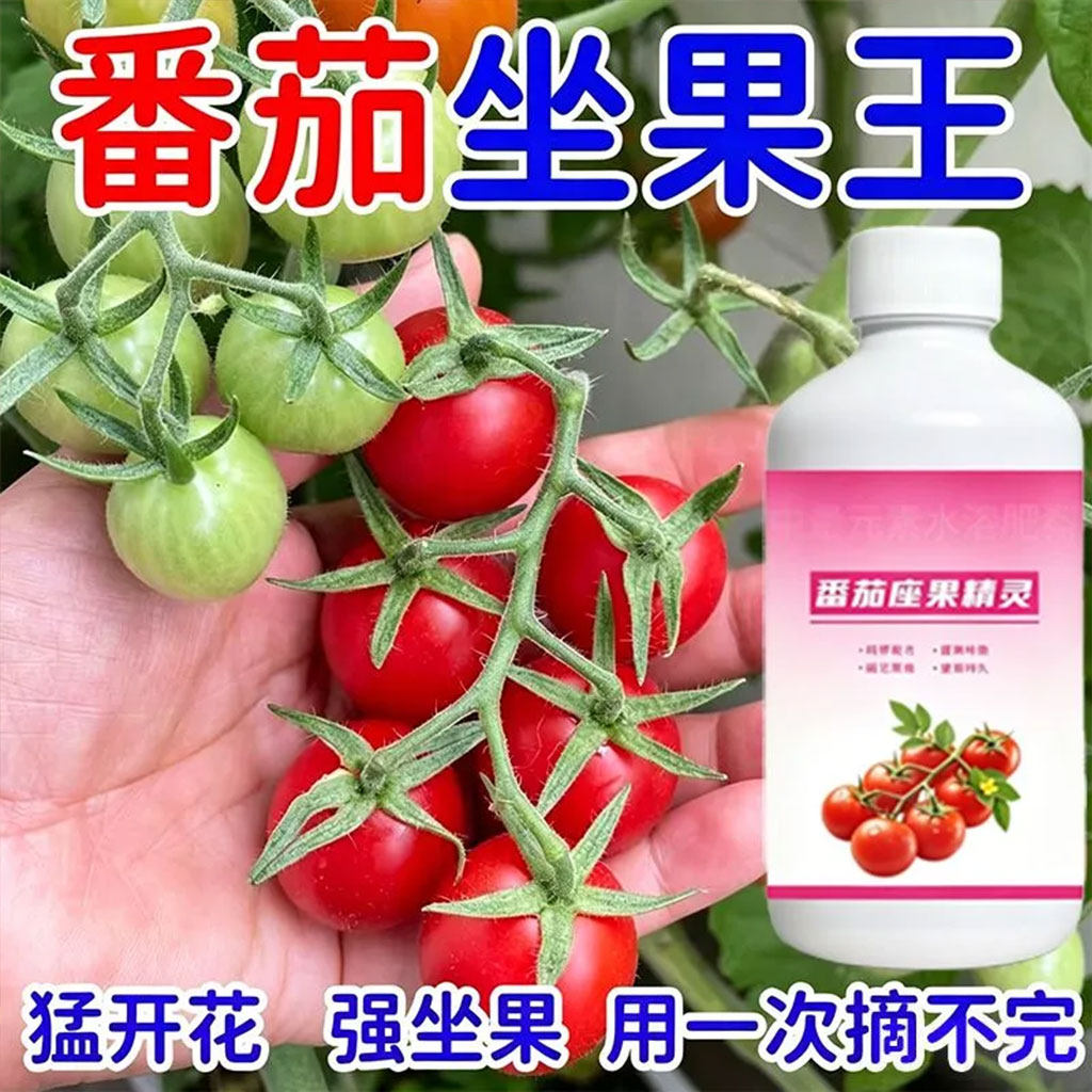 番茄座果灵授粉点花神器保花保果强力座果果型饱满西红柿专用原液