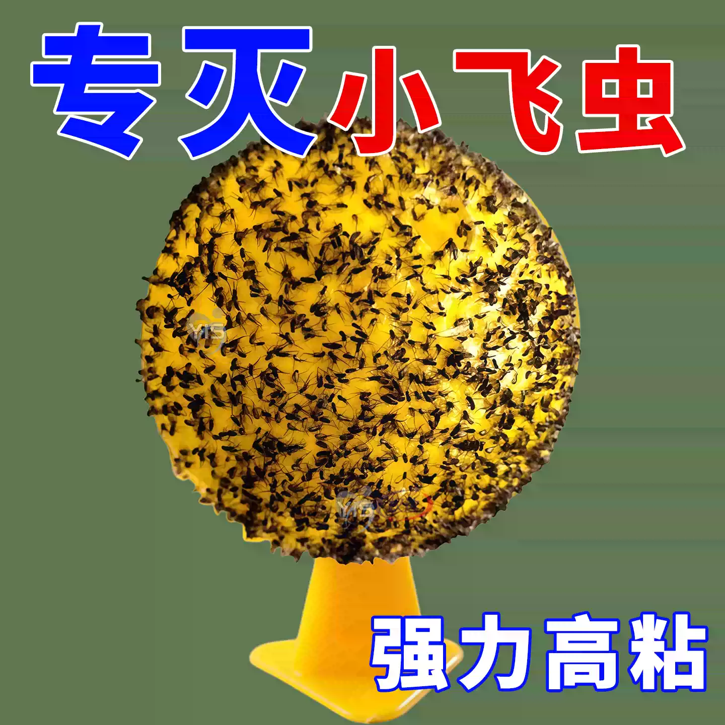 粘虫球丝瓜果实蝇贴诱蝇球针蜂马蜂色引诱剂果蝇诱捕器双面黄板纸