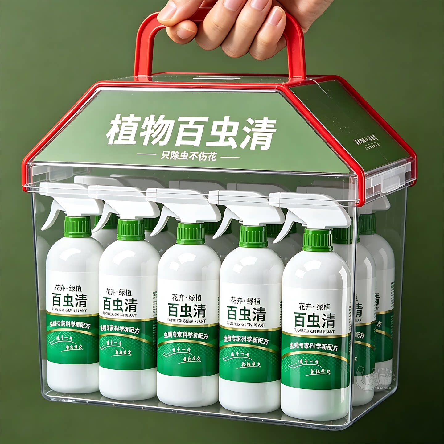 盆栽月季蚜虫介壳虫红蜘蛛家用