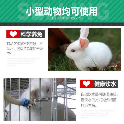 兔子饮水器三通带簧兔MLJ自弹动用饮水器厂家直供养殖场兔用饮水