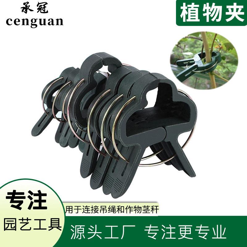 8个/套  植物夹/塑料绑蔓夹/绑枝夹/吊蔓夹/扶蔓夹/藤蔓固定夹子