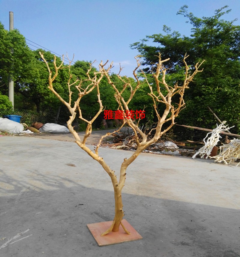 去皮树装饰造型树枝白树枝干树枝去皮原色枯树摄影道具婚庆造型树