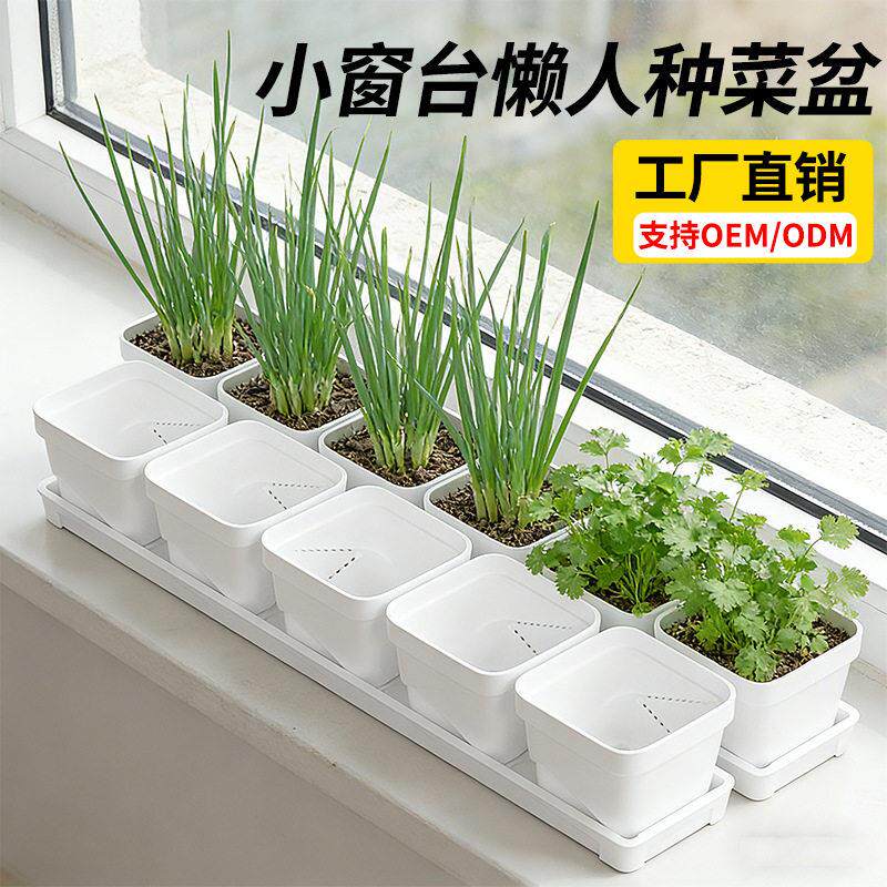 园艺长方形花盆绿植培育盆家用窗台多肉养殖盆塑料透气种植盆