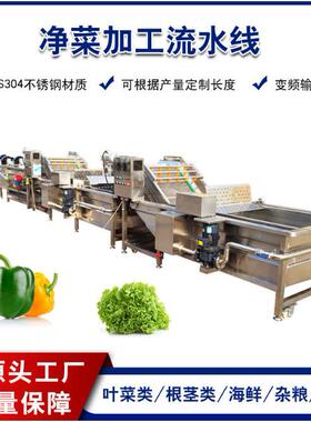 大型商用果蔬清洗设备葡萄干瓜果气泡清洗机连续式气泡清洗机