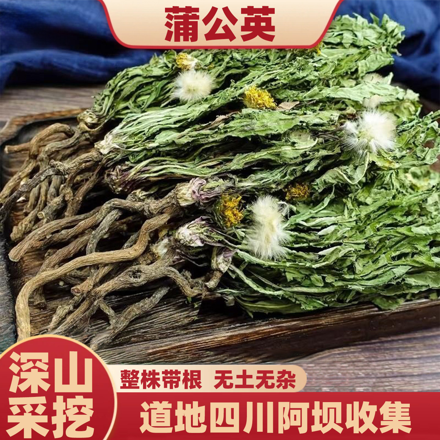 济元旺长白山天然整株带花带根蒲公英婆婆丁养生花草茶蒲公英泡水