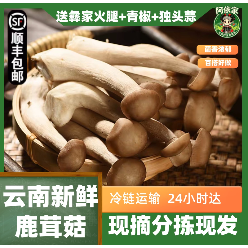 阿依家云南现摘鹿茸菇顺丰包邮