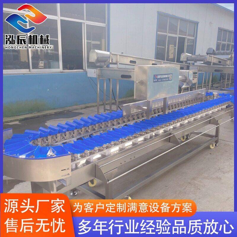 供应鸡爪重量分选机鲍鱼海参重量分拣机全自动重量分选机设备