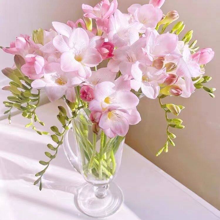 香雪兰鲜花水卉小苍兰水培鲜花香味浓香型家庭办公室云南昆明直发