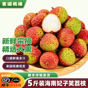 金币47！净重4.6斤！正宗海南妃子笑荔枝