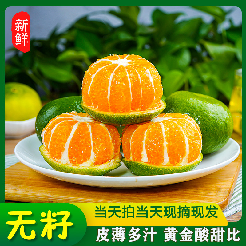 寻乌蜜桔当季现摘顺丰发货