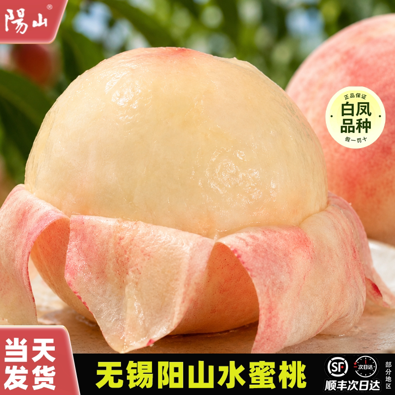 顺丰正宗阳山水蜜桃当季新鲜水果