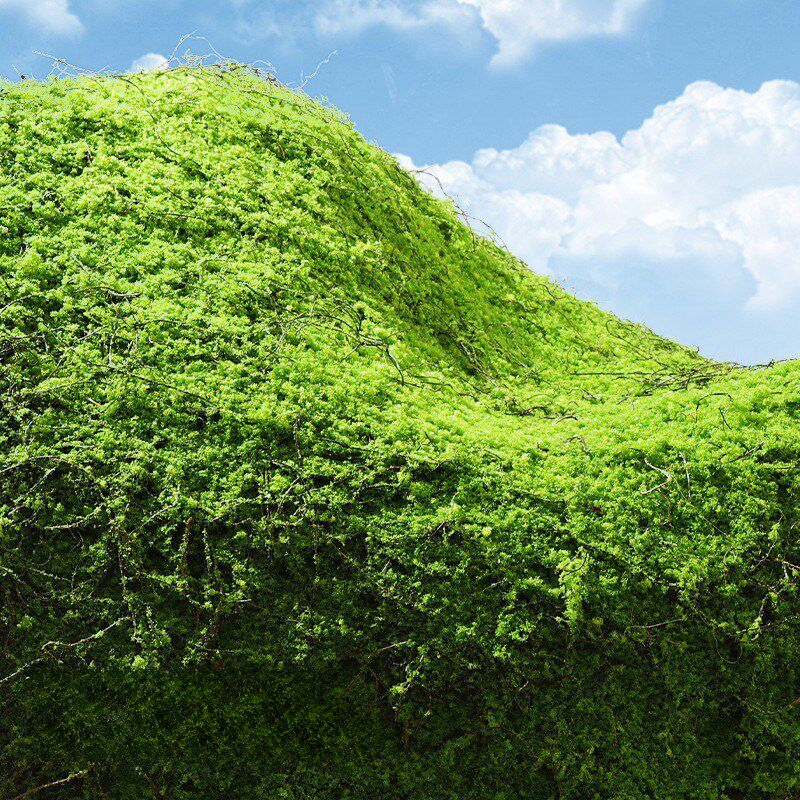 仿真苔藓青苔草皮室内橱窗盆景微景观植绒摆件绿植墙加厚鼓包草坪
