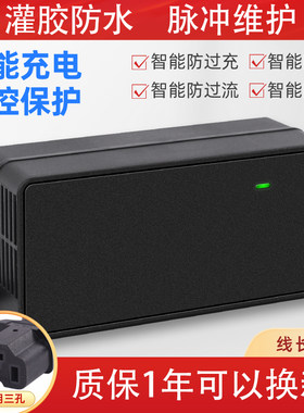 世纪雄风防雨防水电动车电瓶充电器48v12ah60v20ah72v三轮车通用